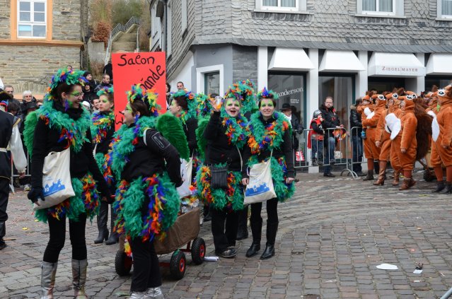 umzug simmern_140301_vb_198